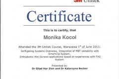 Certyfikat 1.07.2011