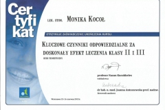 Certyfikat 15-16.06.2013